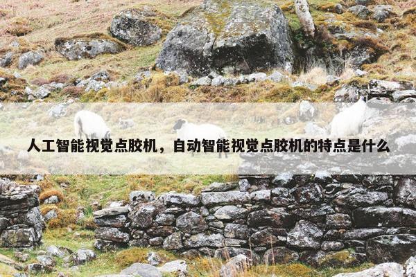 人工智能视觉点胶机，自动智能视觉点胶机的特点是什么