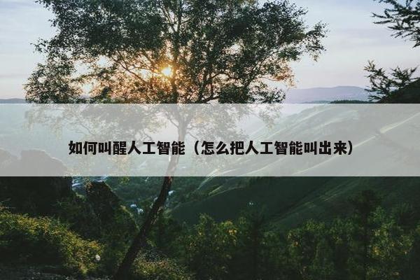 如何叫醒人工智能（怎么把人工智能叫出来）
