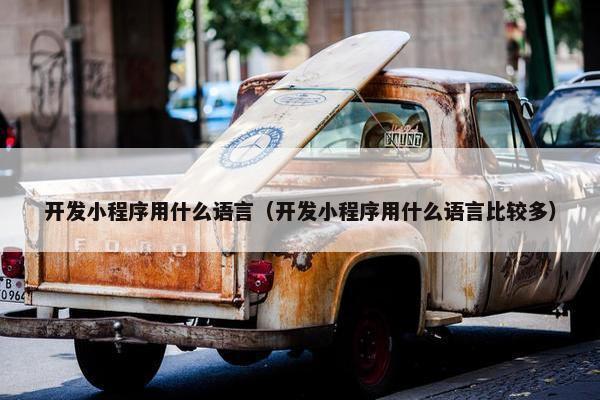 开发小程序用什么语言（开发小程序用什么语言比较多）