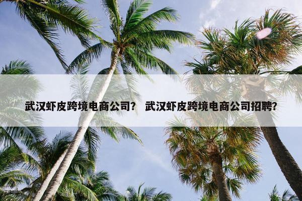 武汉虾皮跨境电商公司？ 武汉虾皮跨境电商公司招聘？
