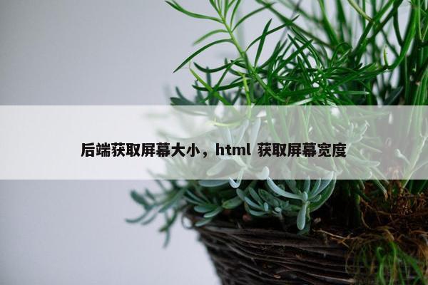 后端获取屏幕大小，html 获取屏幕宽度