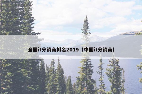 全国it分销商排名2019（中国it分销商）