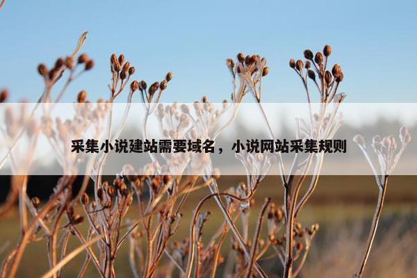 采集小说建站需要域名，小说网站采集规则