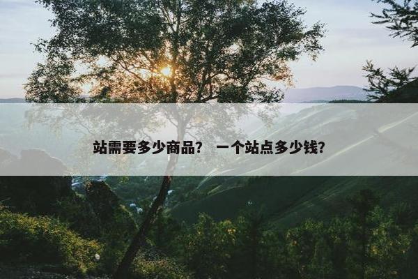 站需要多少商品？ 一个站点多少钱？
