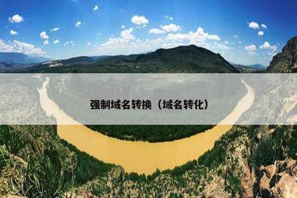 强制域名转换（域名转化）