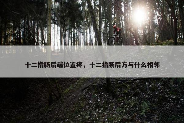十二指肠后端位置疼，十二指肠后方与什么相邻