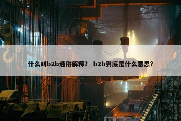 什么叫b2b通俗解释？ b2b到底是什么意思？