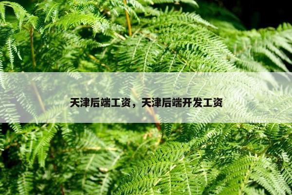 天津后端工资，天津后端开发工资