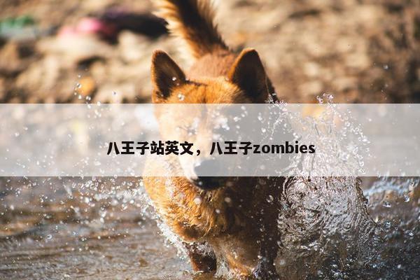 八王子站英文，八王子zombies