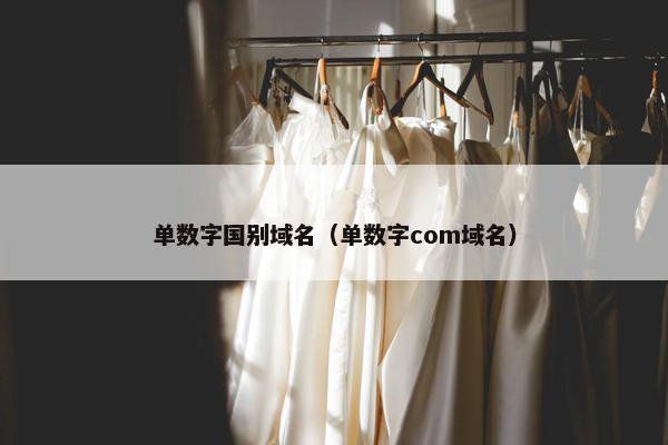 单数字国别域名（单数字com域名）
