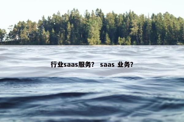 行业saas服务？ saas 业务？