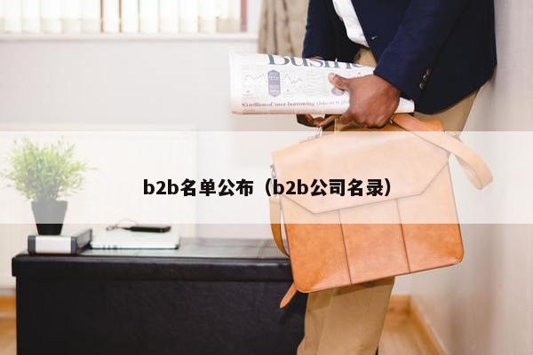 b2b名单公布（b2b公司名录）