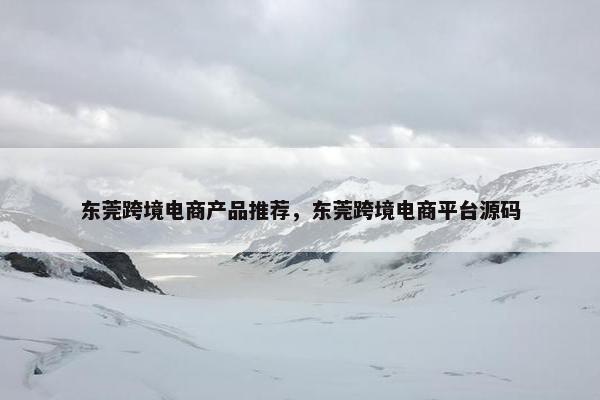 东莞跨境电商产品推荐，东莞跨境电商平台源码