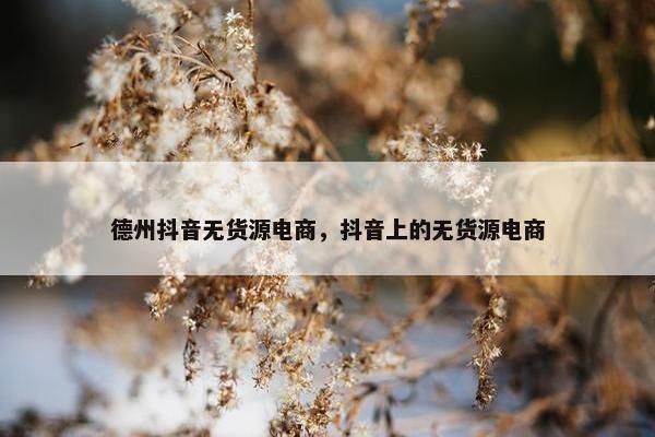 德州抖音无货源电商，抖音上的无货源电商
