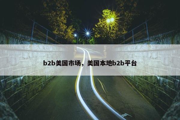 b2b美国市场，美国本地b2b平台