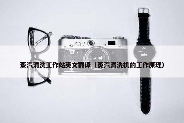 蒸汽清洗工作站英文翻译（蒸汽清洗机的工作原理）