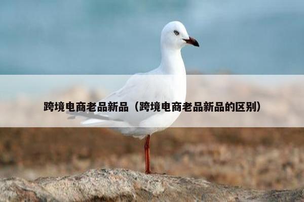 跨境电商老品新品（跨境电商老品新品的区别）
