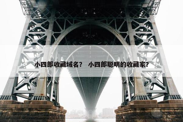 小四郎收藏域名？ 小四郎聪明的收藏家？