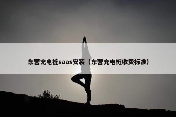 东营充电桩saas安装（东营充电桩收费标准）
