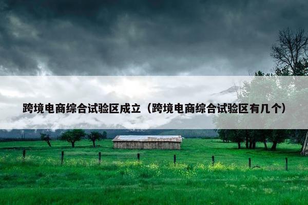 跨境电商综合试验区成立（跨境电商综合试验区有几个）