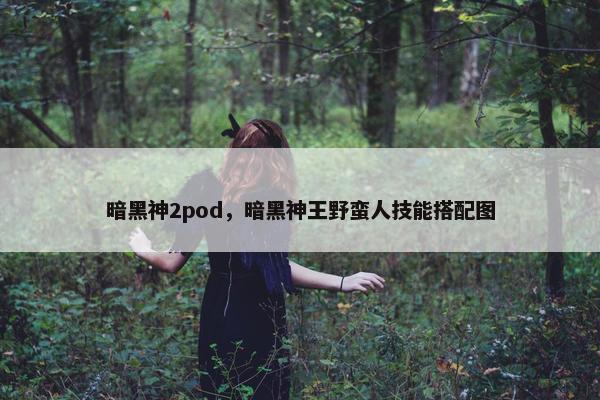 暗黑神2pod，暗黑神王野蛮人技能搭配图