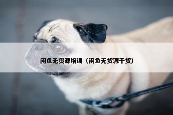 闲鱼无货源培训（闲鱼无货源干货）