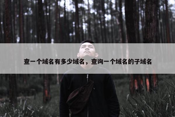 查一个域名有多少域名，查询一个域名的子域名