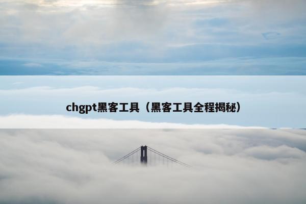 chgpt黑客工具（黑客工具全程揭秘）