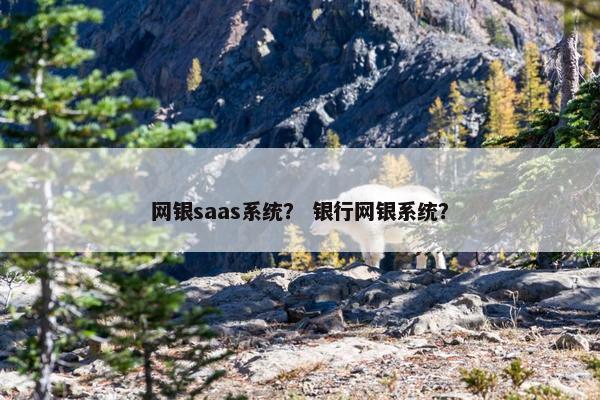 网银saas系统？ 银行网银系统？