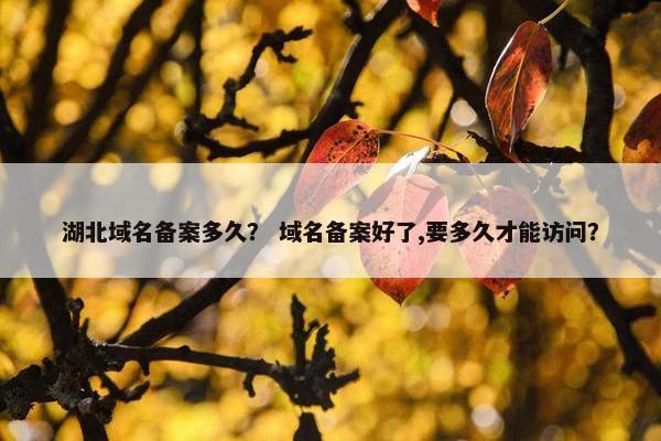 湖北域名备案多久？ 域名备案好了,要多久才能访问？