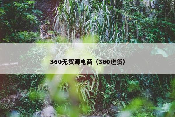 360无货源电商（360进货）
