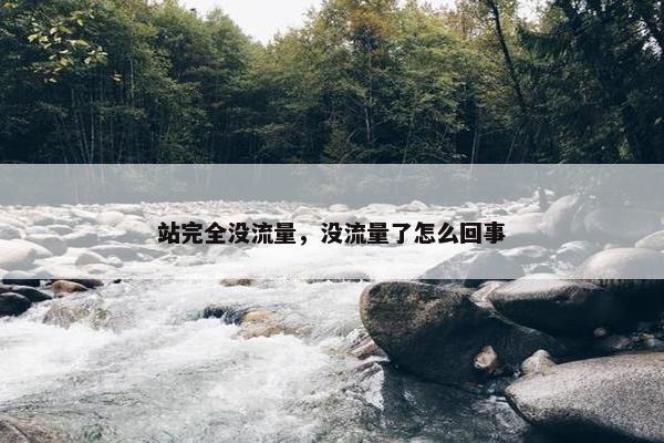 站完全没流量，没流量了怎么回事