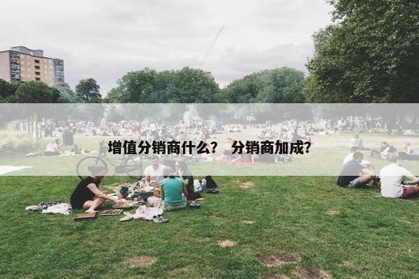 增值分销商什么？ 分销商加成？