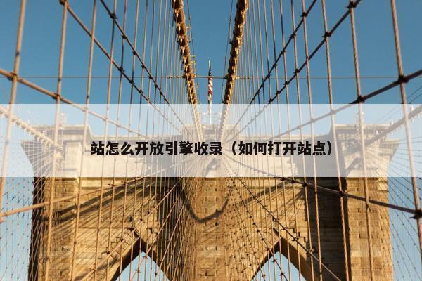 站怎么开放引擎收录（如何打开站点）