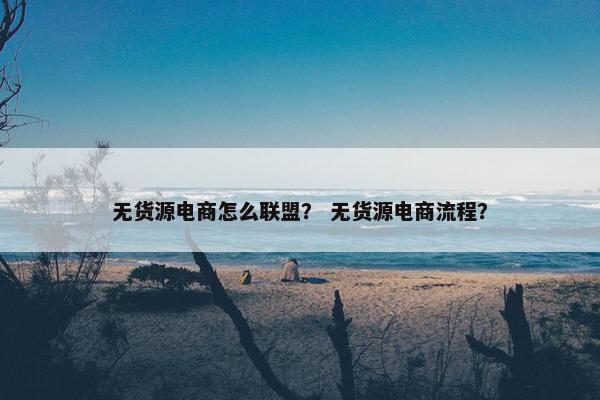 无货源电商怎么联盟？ 无货源电商流程？