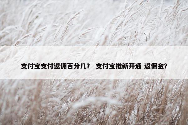 支付宝支付返佣百分几？ 支付宝推新开通 返佣金？