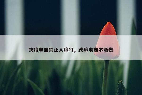 跨境电商禁止入境吗，跨境电商不能做