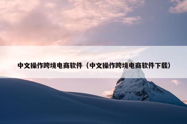 中文操作跨境电商软件（中文操作跨境电商软件下载）