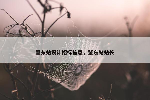 肇东站设计招标信息，肇东站站长