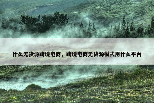 什么无货源跨境电商，跨境电商无货源模式用什么平台