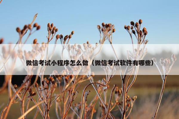 微信考试小程序怎么做（微信考试软件有哪些）