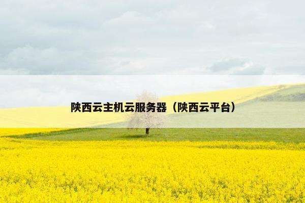 陕西云主机云服务器（陕西云平台）