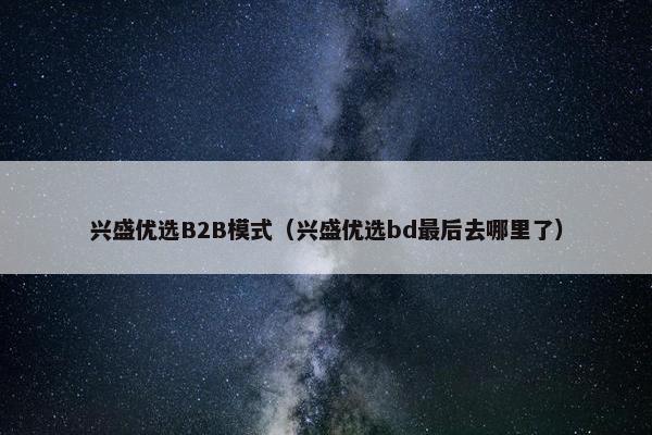 兴盛优选B2B模式（兴盛优选bd最后去哪里了）