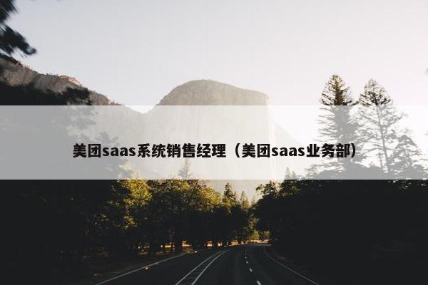 美团saas系统销售经理（美团saas业务部）
