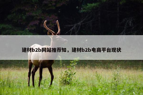 建材b2b网站推荐知，建材b2b电商平台现状