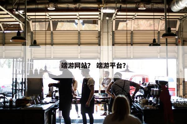 端游网站？ 端游平台？