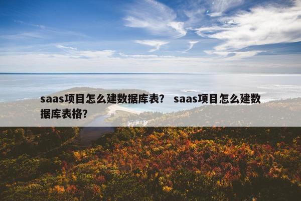 saas项目怎么建数据库表？ saas项目怎么建数据库表格？