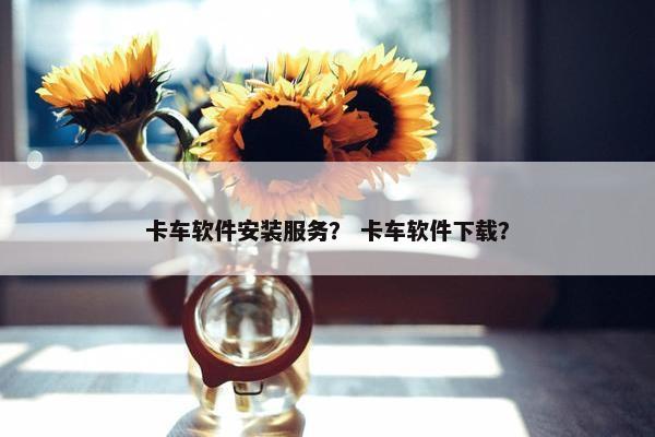 卡车软件安装服务？ 卡车软件下载？