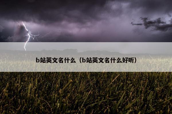 b站英文名什么（b站英文名什么好听）