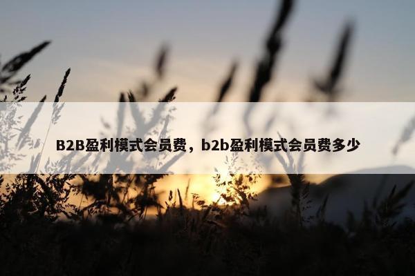 B2B盈利模式会员费，b2b盈利模式会员费多少